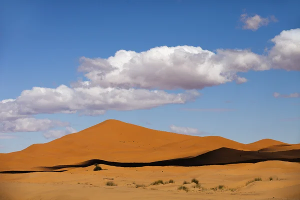 Erg chebbi sand dunes — Stock Photo, Image