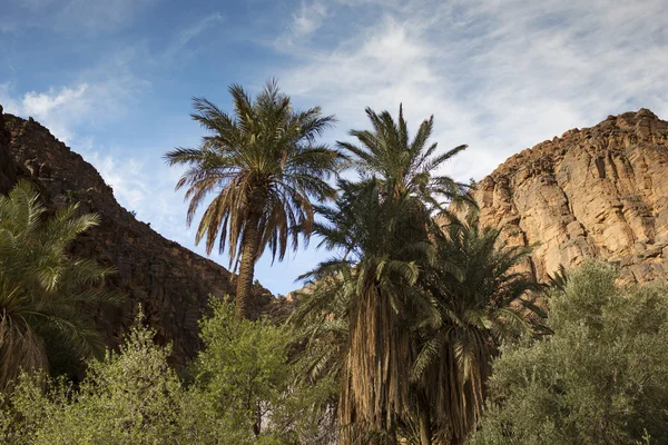 Amtoudi gorge Marocko — Stockfoto