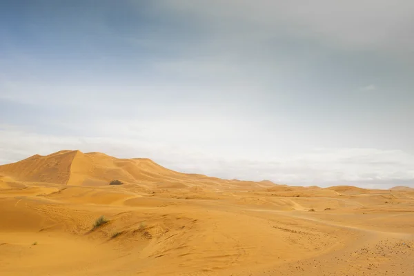 Sand dunes in merzouga — Stock Photo, Image