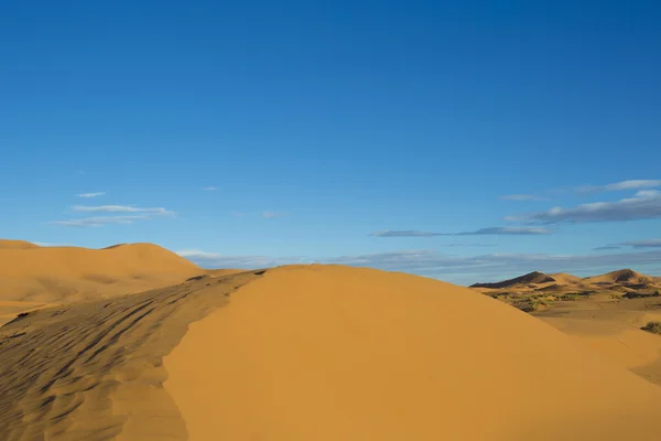 Sand dunes in merzouga, morocco — Stock Photo, Image