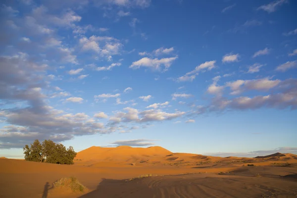 Dunas de areia em merzouga — Fotografia de Stock