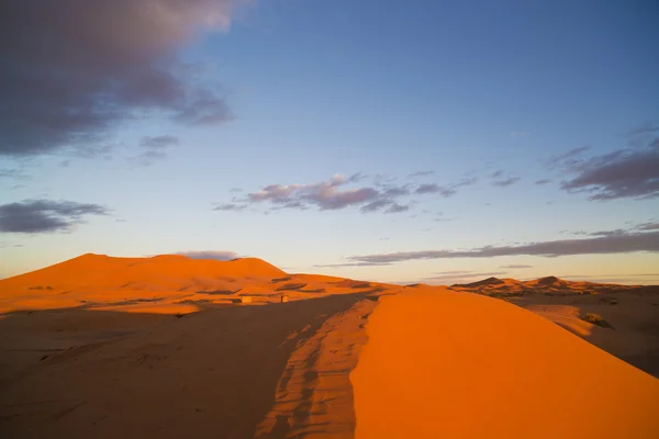 Sand dunes in merzouga — Stock Photo, Image