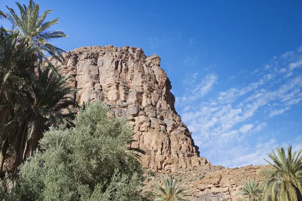 Gorge amtoudi au Maroc — Photo