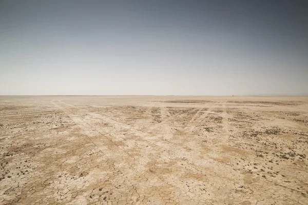 Amazing dry lake — Stock Photo, Image