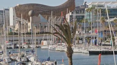 Rüzgarlı bir günde Barselona liman olimpiyatları.