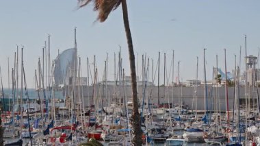 Rüzgarlı bir günde Barselona liman olimpiyatları.