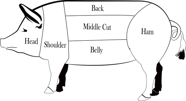 Silueta de cerdo vector ilustración — Foto de Stock