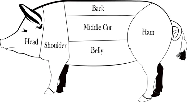 Pig silhouette vector illustration — Stock Photo, Image