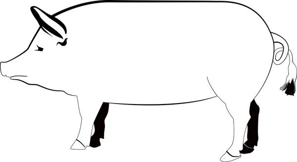 Silueta de cerdo vector ilustración —  Fotos de Stock