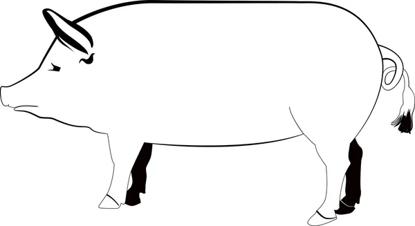 Illustration vectorielle de silhouette de porc — Photo