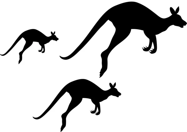 Abstract vector illustration of kangaroo — Stock Photo, Image
