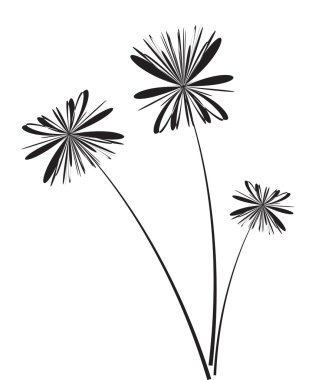 beyaz izole siluetleri yaz çiçek