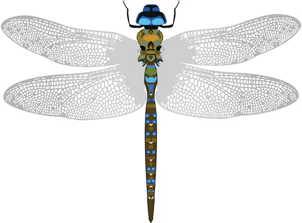 Dragonfly представлений у вигляді татуювання — стокове фото