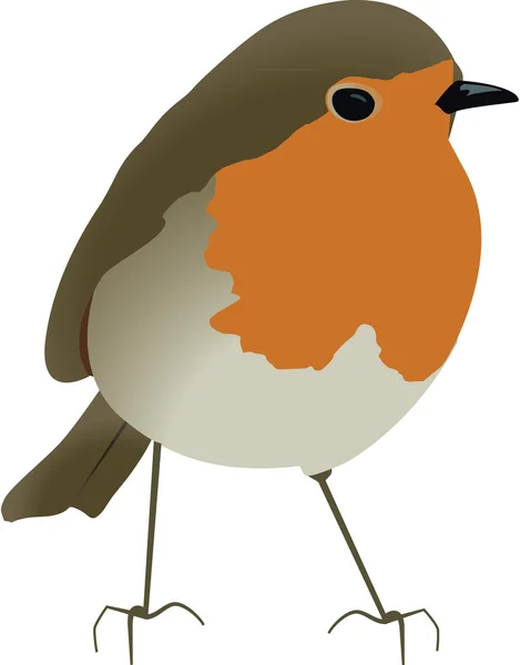 Söta tecknade robin illustration — Stockfoto