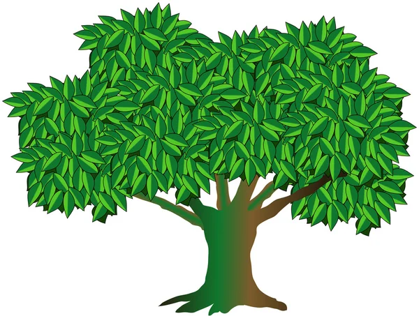 Illustration of old green oak tree — Stock Photo, Image