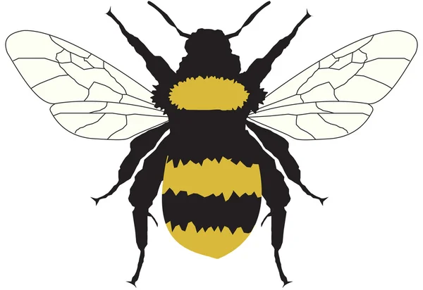 Abeja dibujo fotos de stock, imágenes de Abeja dibujo sin royalties | Depositphotos Abeja dibujo fotos de stock, imágenes de Abeja dibujo sin royalties | Depositphotos