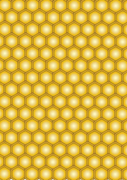 Honing in honingraat — Stockfoto