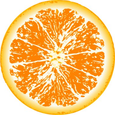 Taze portakal illüstrasyonu. Kapatın.