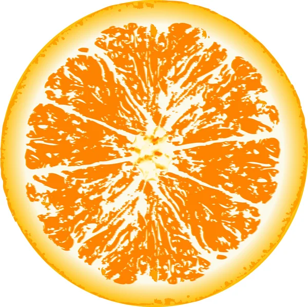 Ilustración de fruta naranja fresca de cerca — Foto de Stock