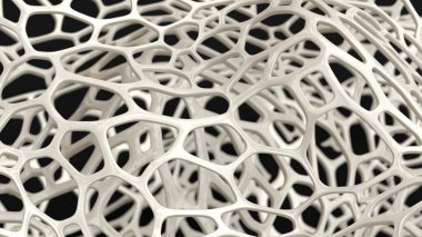 kemik yapısı 3B oluşturucu