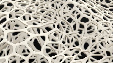 kemik yapısı 3B oluşturucu