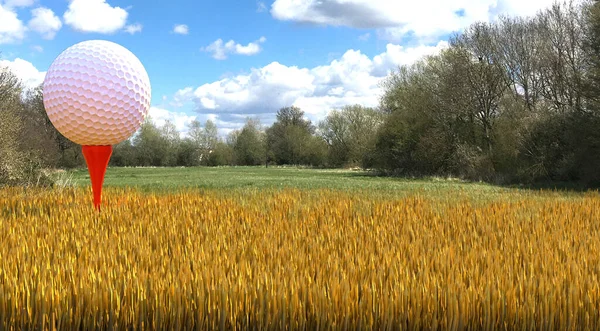 Golfball Auf Tee Auf Gras — Stockfoto