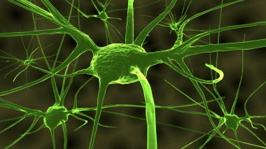 Sinir ve hücre çizimi