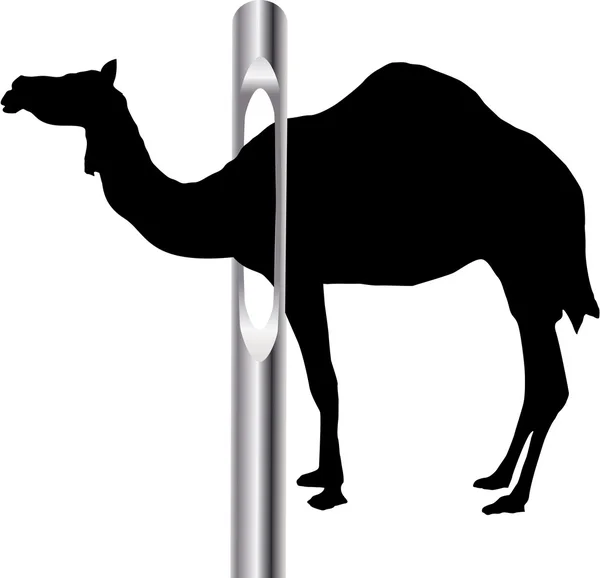 CAMEL NEEDLE — Stock Photo, Image