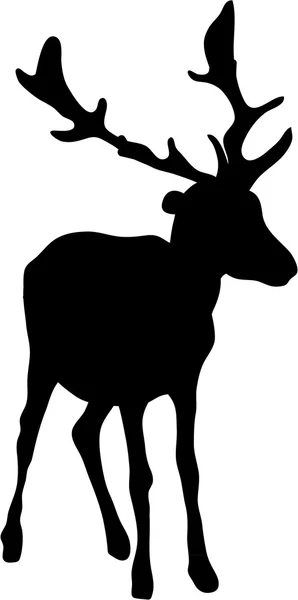 DEER silhouette — Stock Photo, Image