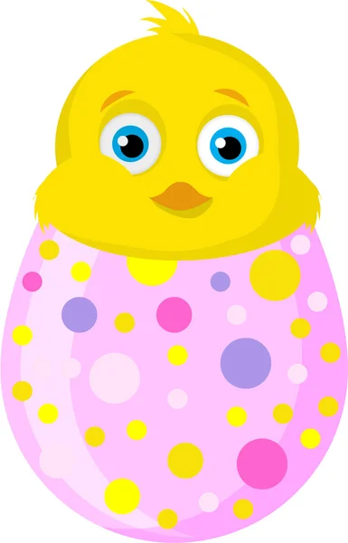 CHICK IN EGG — Stock Photo, Image