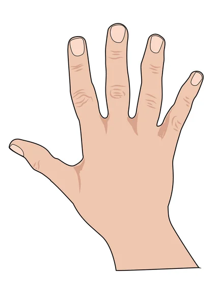 Menselijke hand — Stockfoto