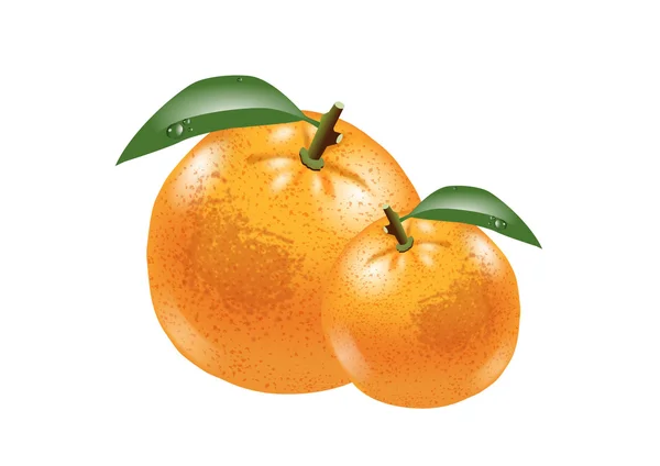 Naranjas — Foto de Stock