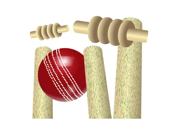 Cricket — Stockfoto