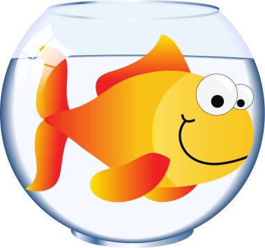 Goldfish yuvarlak kase