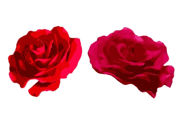 Ανθισμένα τριαντάφυλλα εικονογραφημένα γραφικά — Φωτογραφία Αρχείου