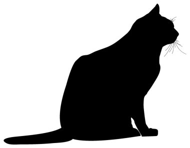 Beyaz arka plan üzerinde izole kedi vektör siluet
