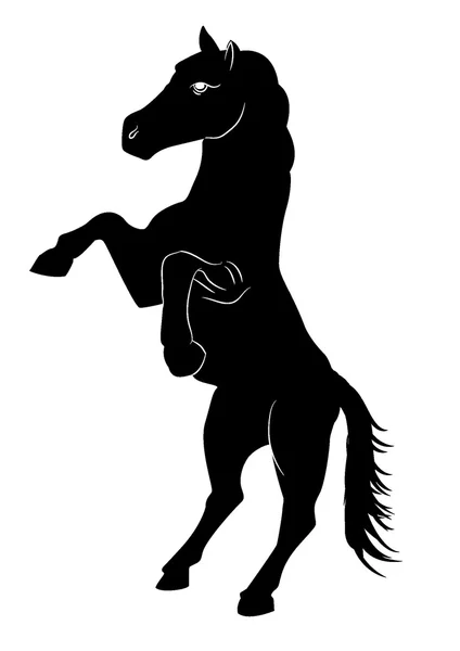 Silhueta cavalo isolado no fundo branco — Fotografia de Stock