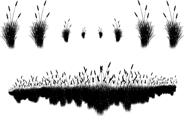 草の刃のベクトル シルエット — ストック写真