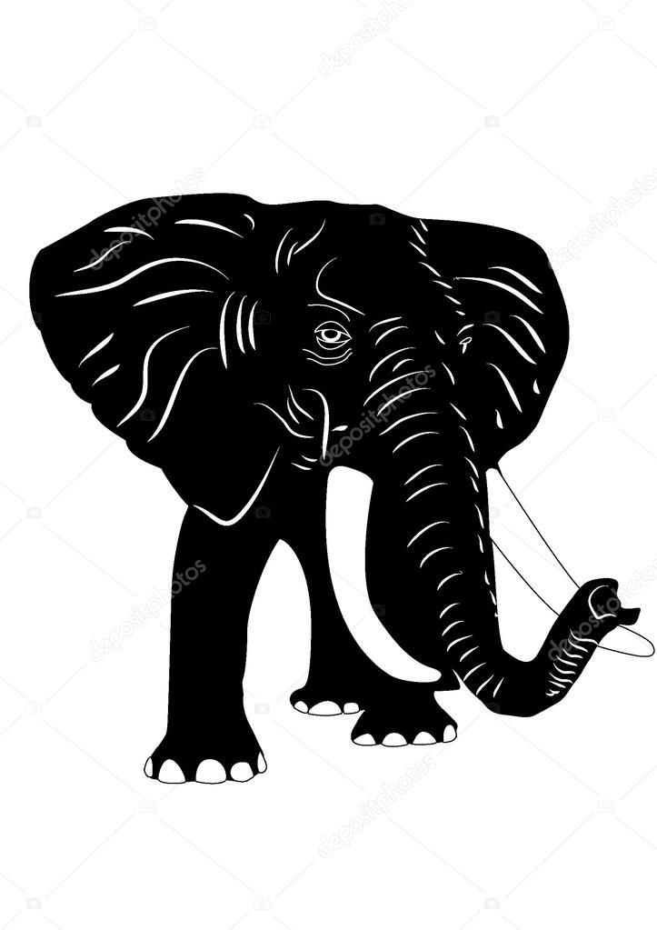 Elephant silhouette illustration on white