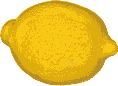 Beyaz izole limon illüstrasyon