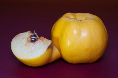 Koyu kırmızı arka planda olgun sarı ayva meyvesi