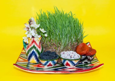 Navruz tatilinin arka planı kutlu olsun. Nowruz tatlılarının ve yeşil çimenli çeşitli kurutulmuş meyvelerin kutlanması