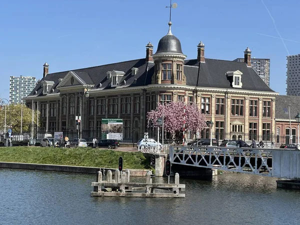 Amsterdam, Hollanda 'da. 17 yaşında. 0-9. 2019, Amsterdam Merkez İstasyonu 'ndan görüntü.