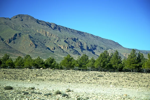 Tal in Afrika Marokko Baumhügel — Stockfoto