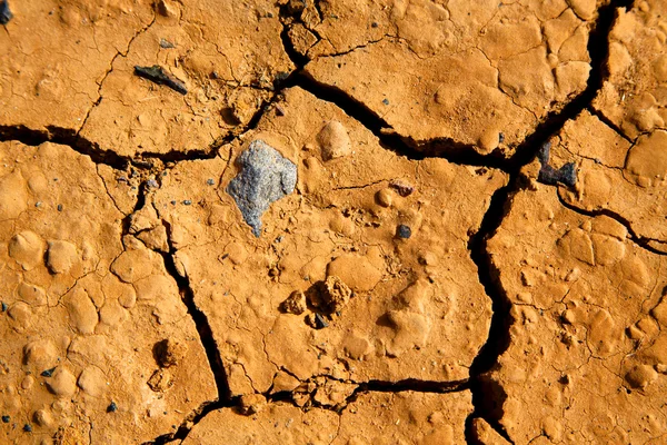 壊した星乾燥砂・地衣類の質感 — ストック写真