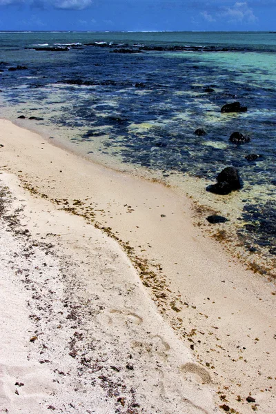 Foam footstep  ocean — Stock Photo, Image