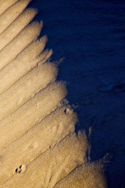 In struttura di spagna di lanzarote di una sabbia secca e la spiaggia — Foto Stock