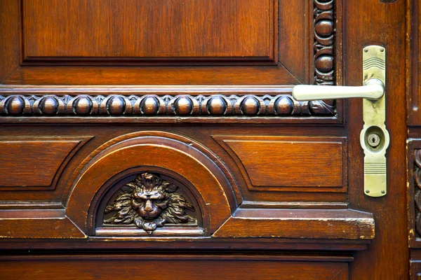 Abstract   brass brown knocker in a   closed wood door    lugano — Stock Photo, Image