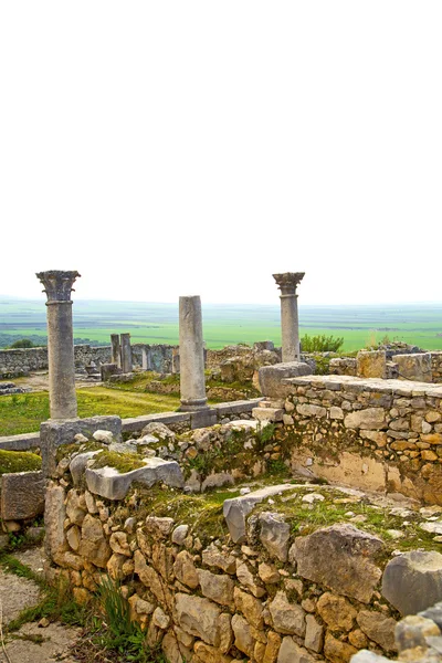 Volubilis in Marocco Africa il vecchio monumento romano deteriorato — Foto Stock