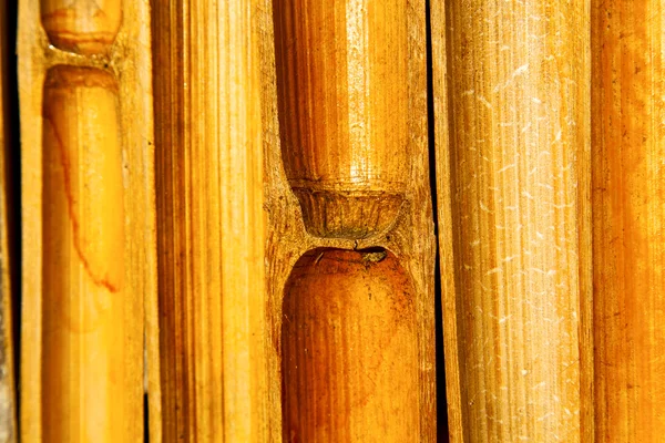 Thailand   bamboo in the temple kho phangan bay asia and — Stock Photo, Image
